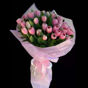 Pink tulipa